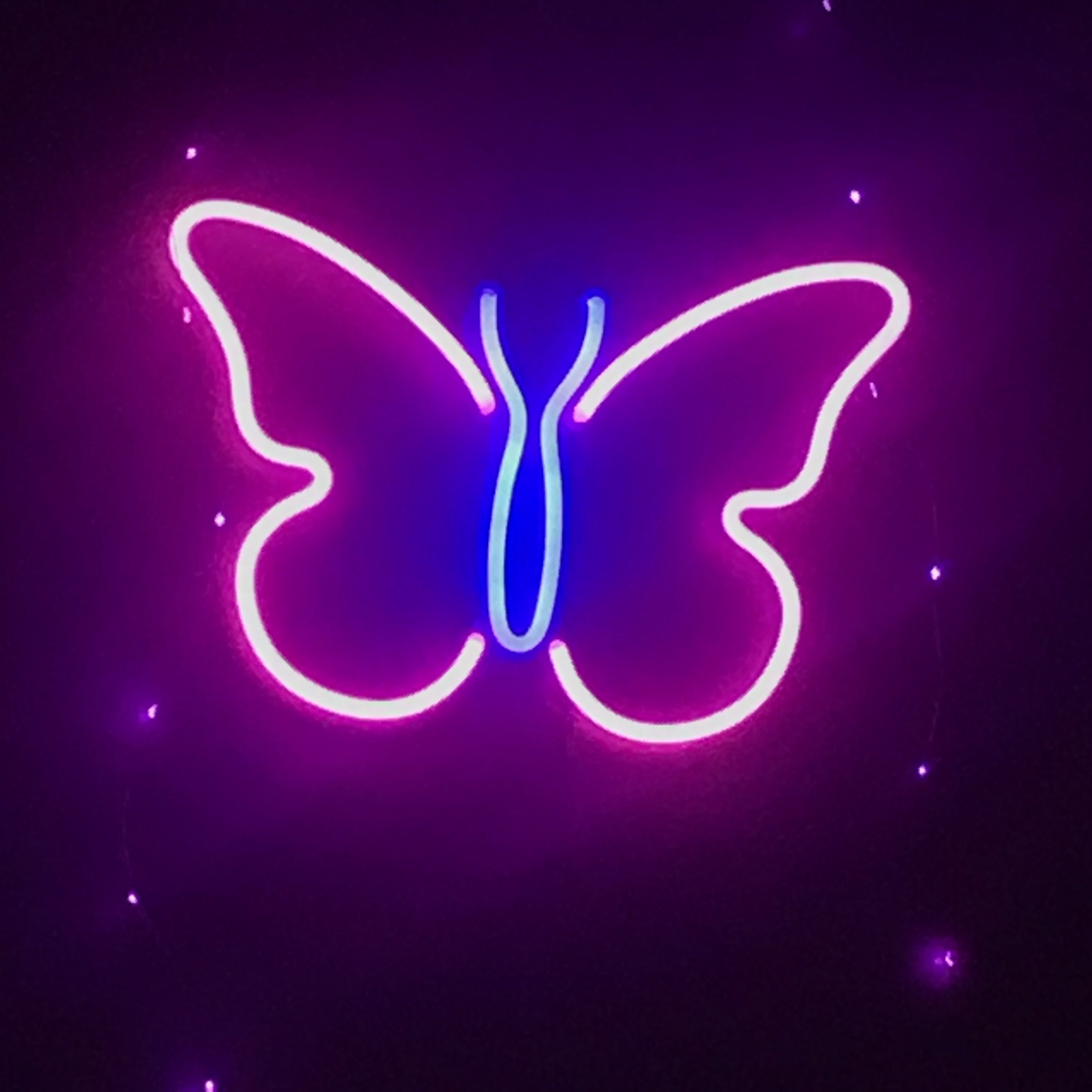 3030x3030 Butterfly neon sign. Wallpaper iphone neon, Neon sign bedroom, Purple butterfly room, Phone