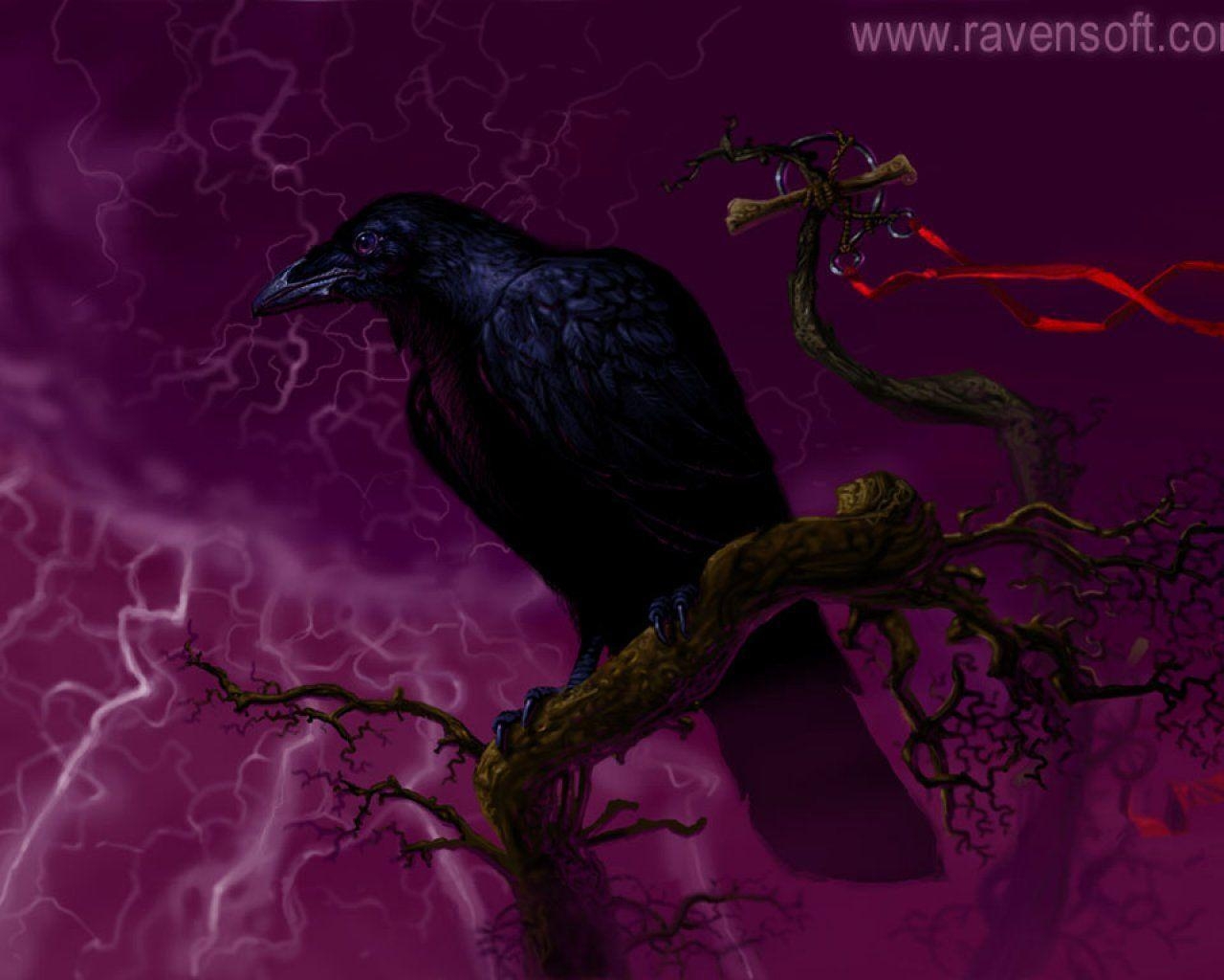 1280x1030 Raven Wallpaper Raven Wallpaper Desktop, Desktop