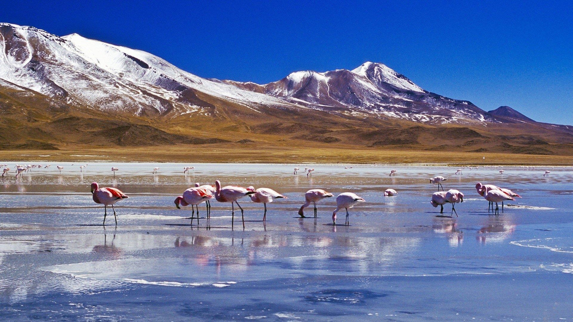 1920x1080 The Salar de Uyuni salt flats in Bolivia HD Wallpaper. Background, Desktop