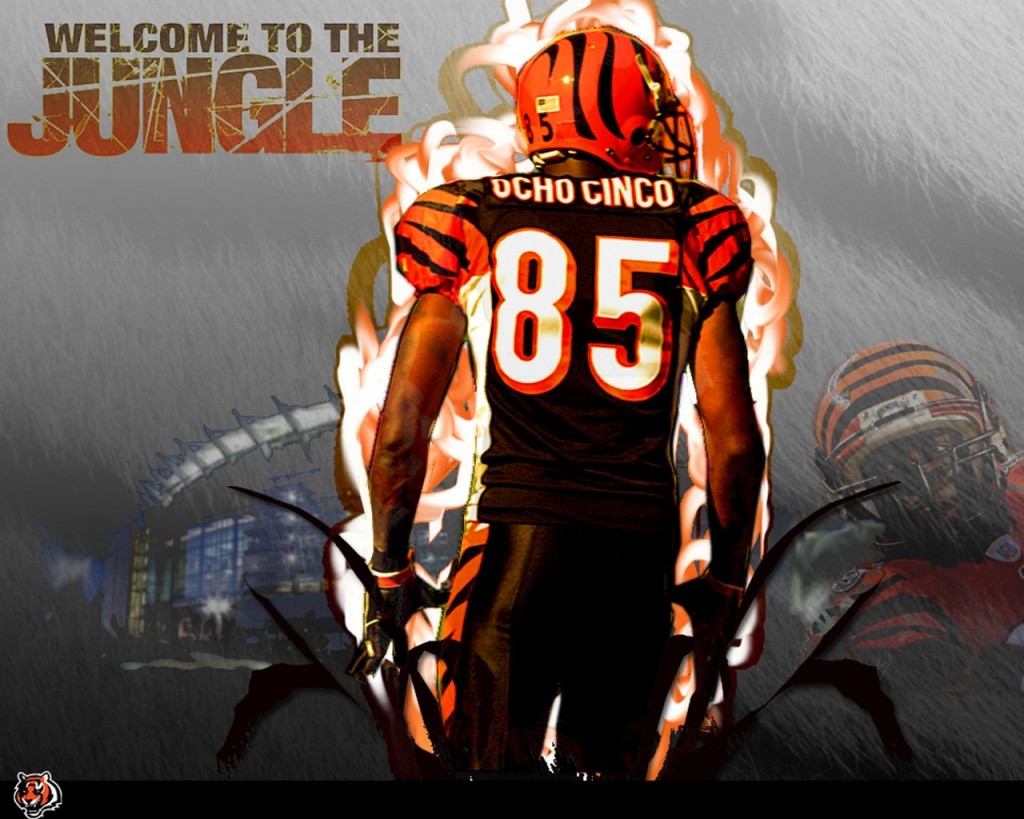 1030x820 Ochocinco Wallpaper. Ochocinco Wallpaper, Desktop