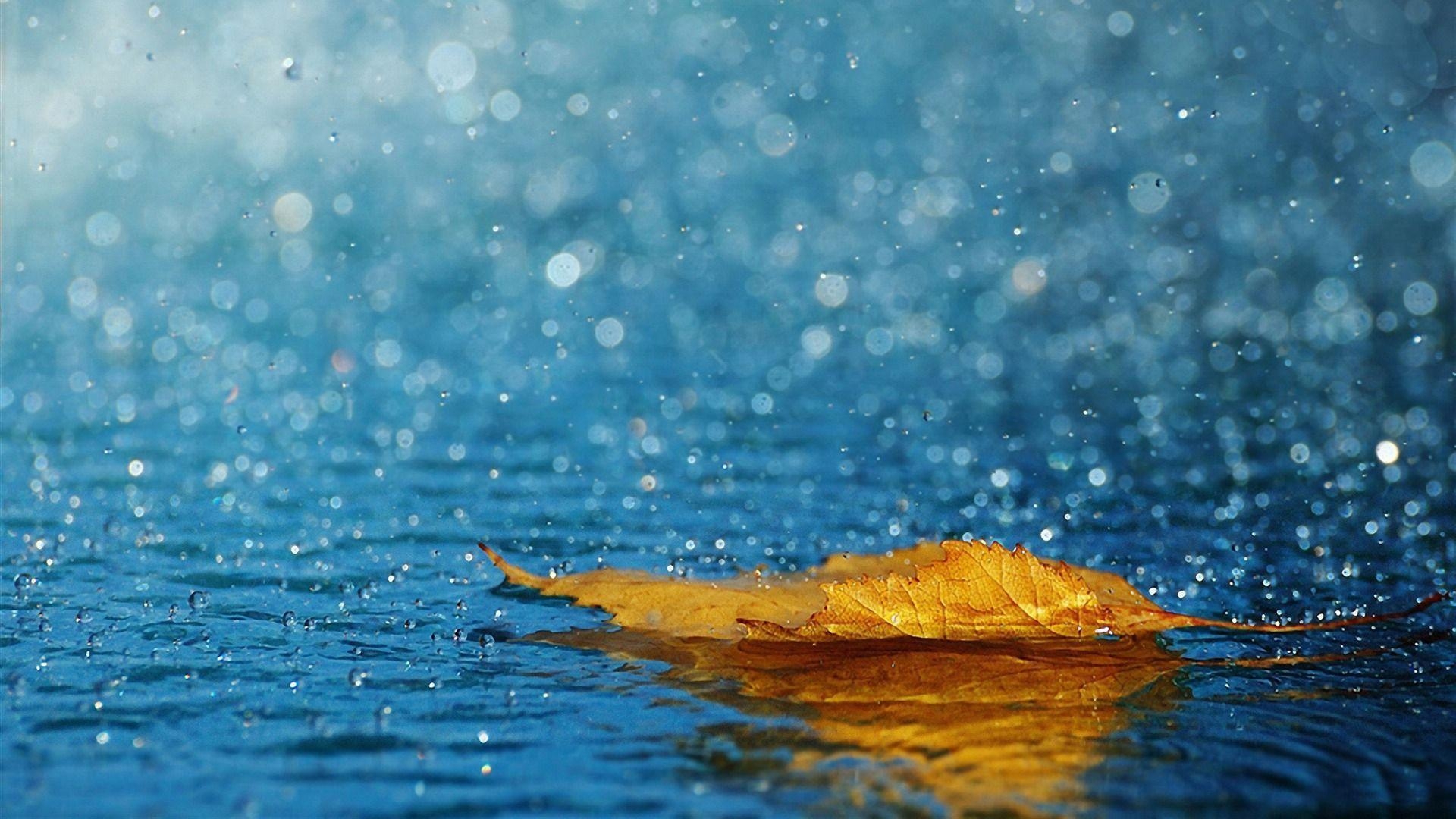 1920x1080 Rain drop, Rain drop on window wallpaper, Rain drop, Desktop