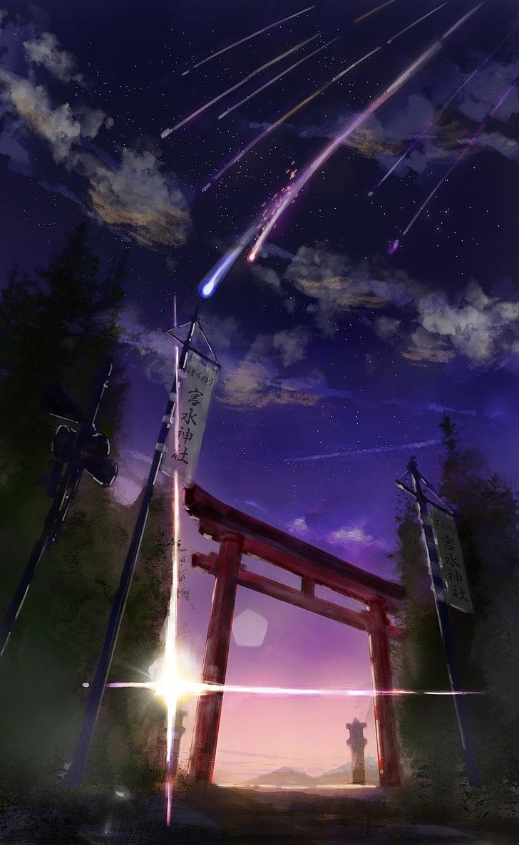 730x1190 HD wallpaper: online game application wallpaper, Your Name, Kimi no Na Wa, sky, Phone