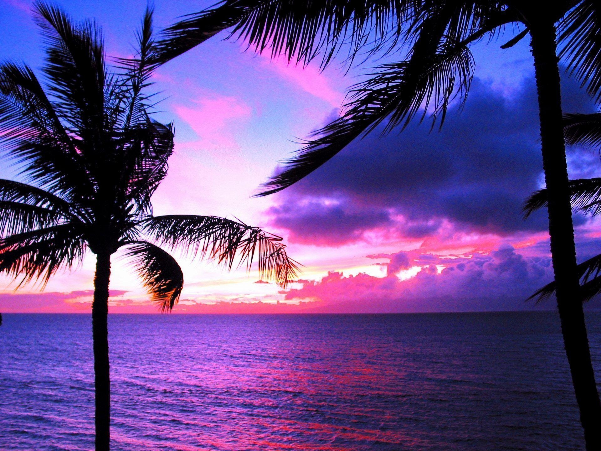 1920x1440 Hawaii Sunset Desktop Wallpaper 16294 Full HD Wallpaper Desktop, Desktop