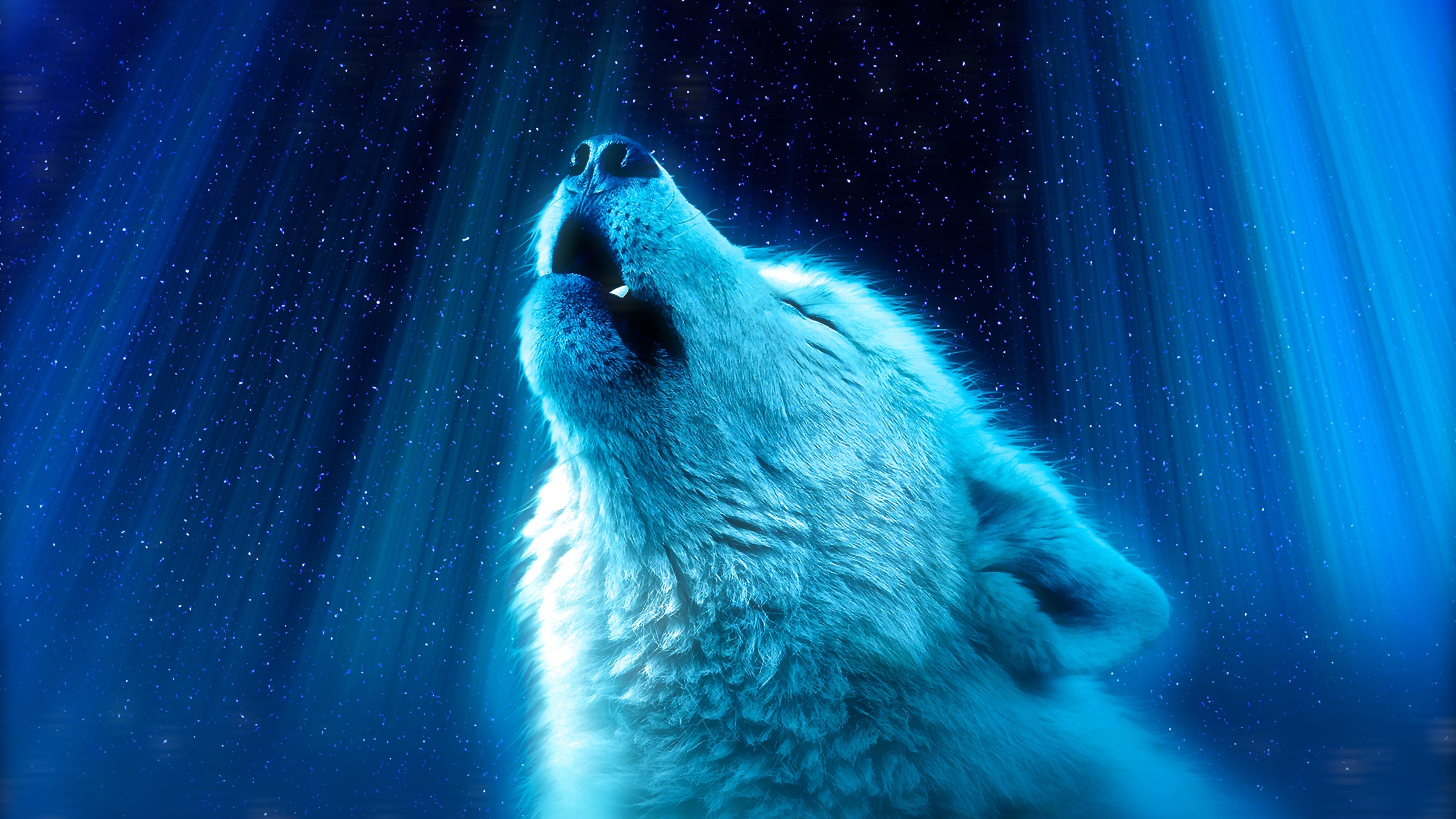 5120x2880 Wolf Heaven 4K Wallpaper, Desktop