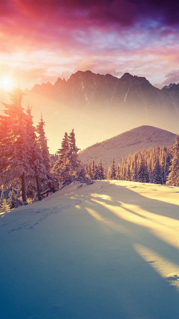 750x1340 Best Winter iPhone 8 HD Wallpaper, Phone