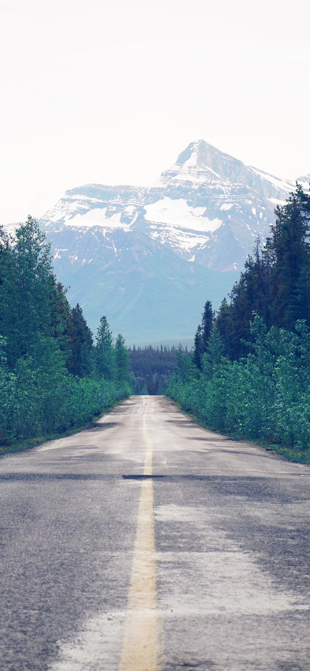 1250x2690 Trees, Road, Mountain, Path  IPhone 11 Pro XS Max Wallpaper, Background, Picture, Image, Phone