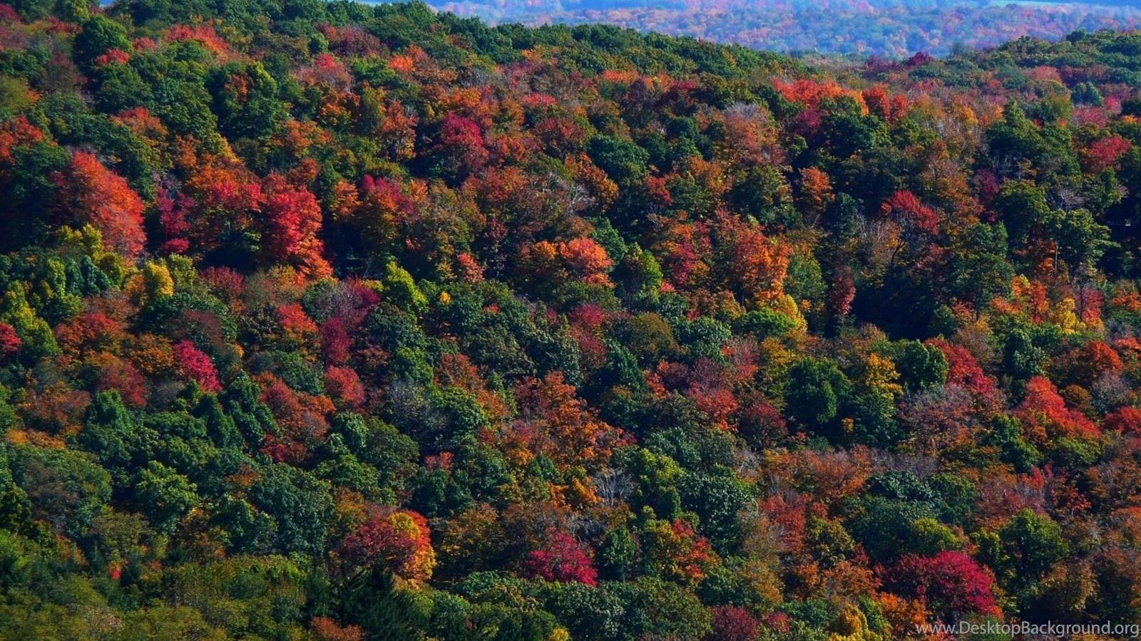 1600x900 MLe Appalachian Mountains In Fall Desktop Background, Desktop