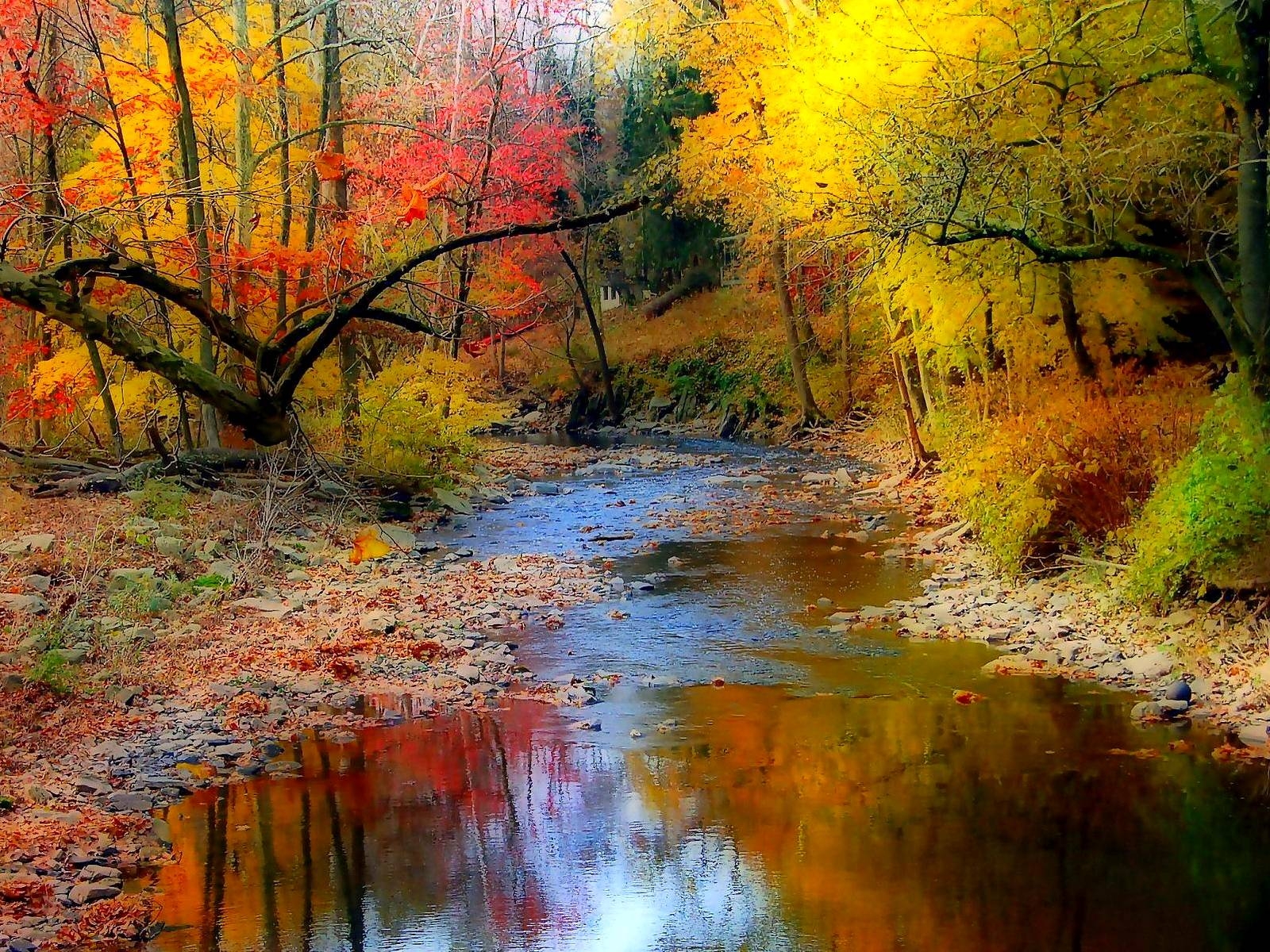 1600x1200 Fall Wallpaper 11202  px, Desktop