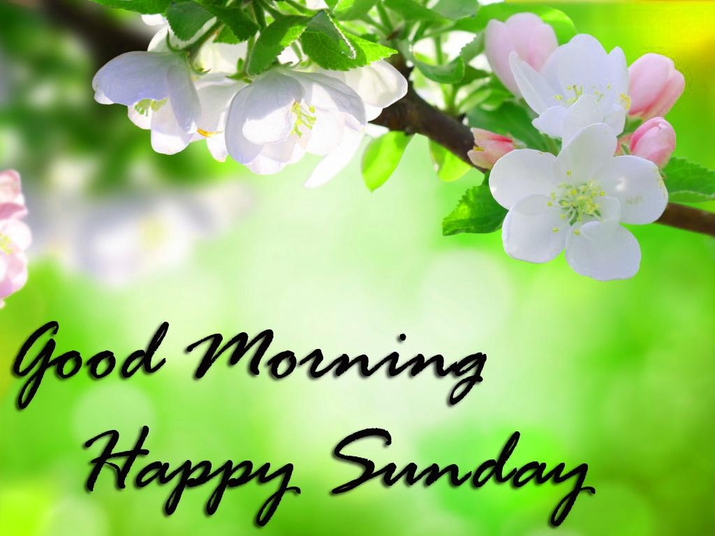 1030x770 Sunday Good Morning Wallpaper Pics Download Good, Desktop