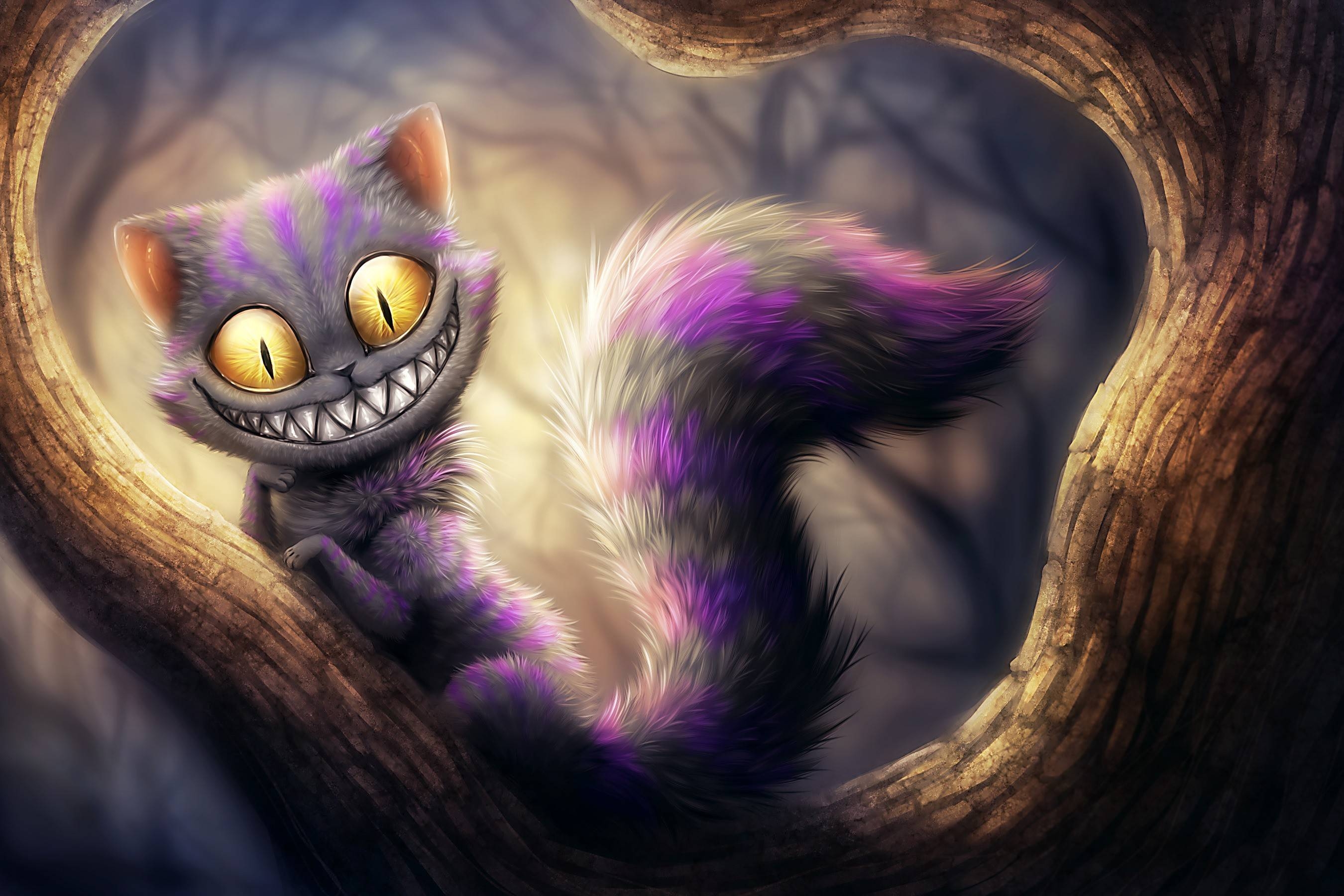 2700x1800 Scary Cat Wallpaper Free Scary Cat Background, Desktop