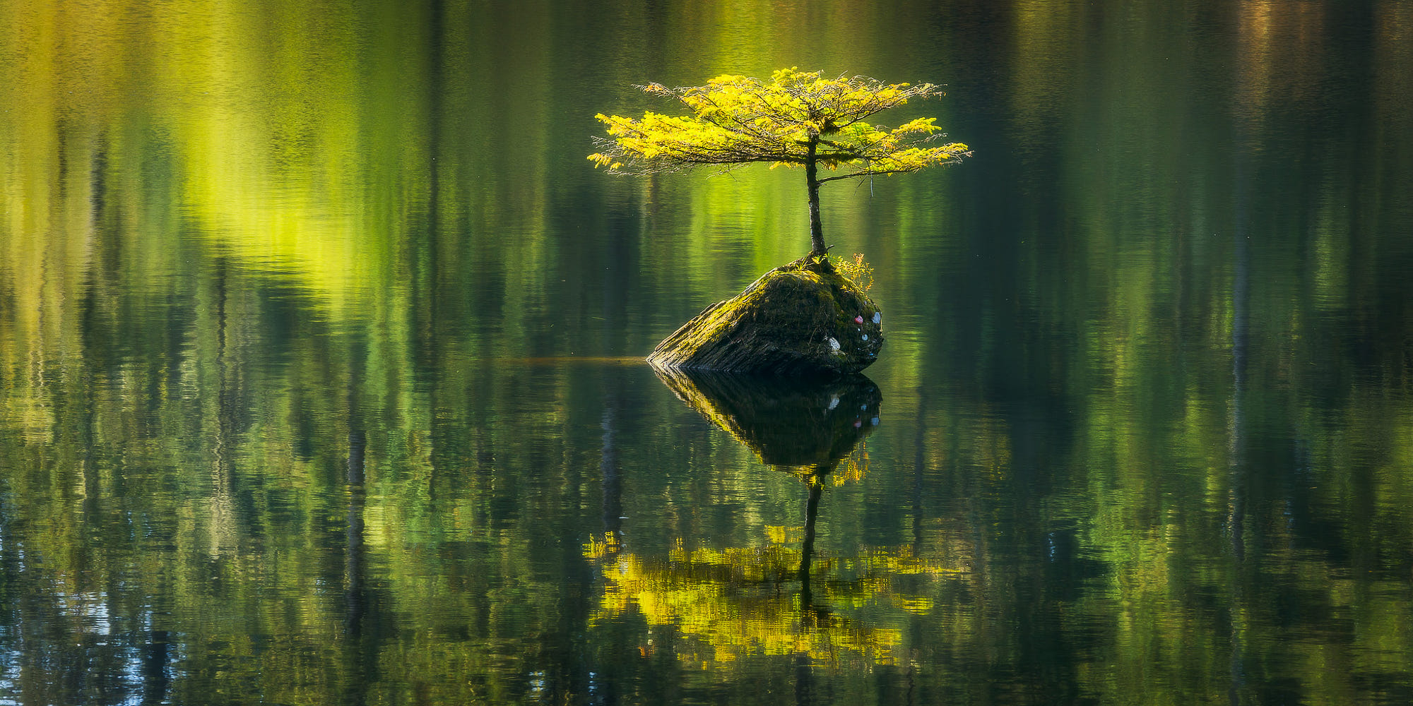 2000x1000 Wallpaper, 500px, Vancouver Island, Canada, nature, water, landscape, Dual Screen