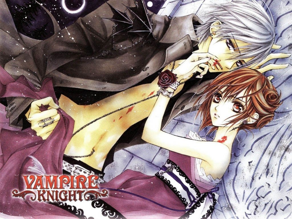 1030x770 Vampire Knight Wallpaper: Zero & Yuuki. Vampire knight yuki, Vampire knight, Yuki and zero, Desktop