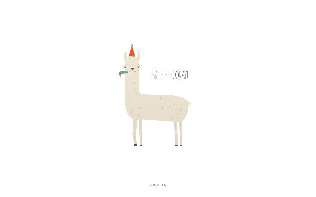 1280x800 Llama Wallpaper 17 X 800, Desktop