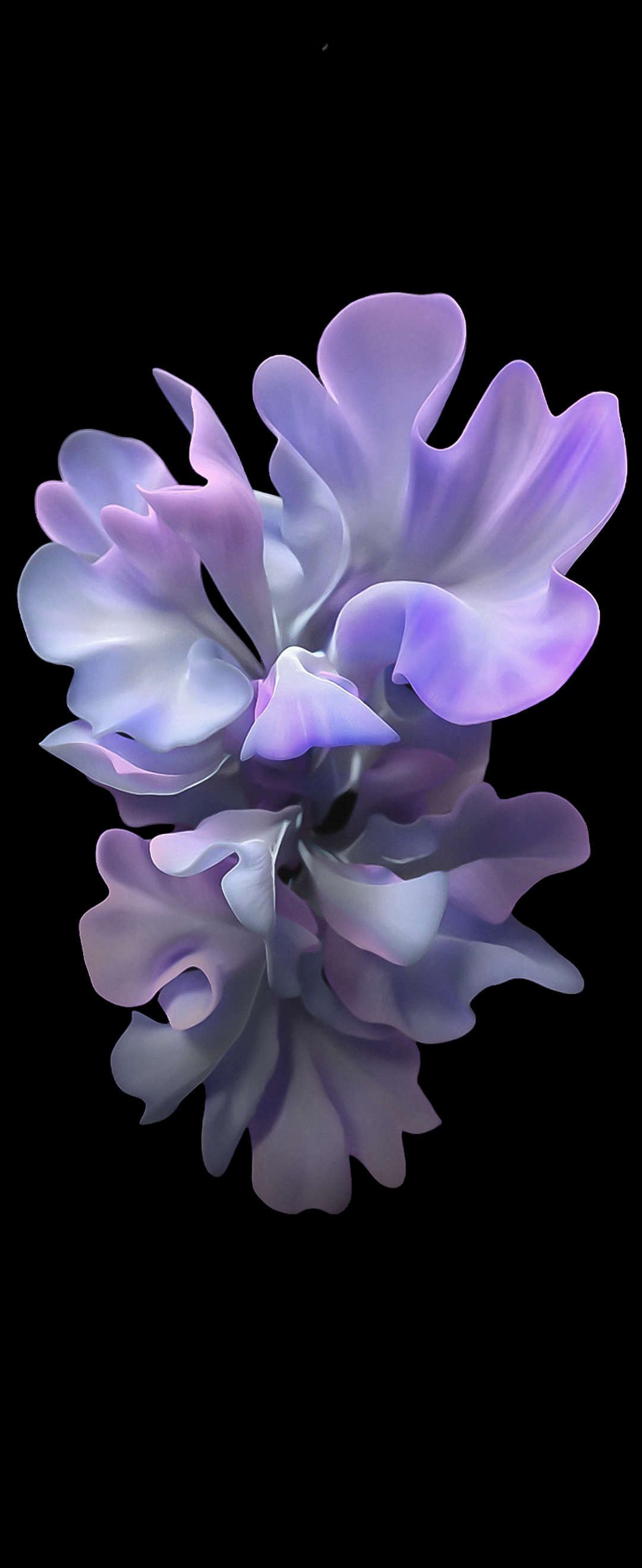 1080x2640 Download Galaxy Z Flip wallpaper and see your home screen 'bloom', Phone