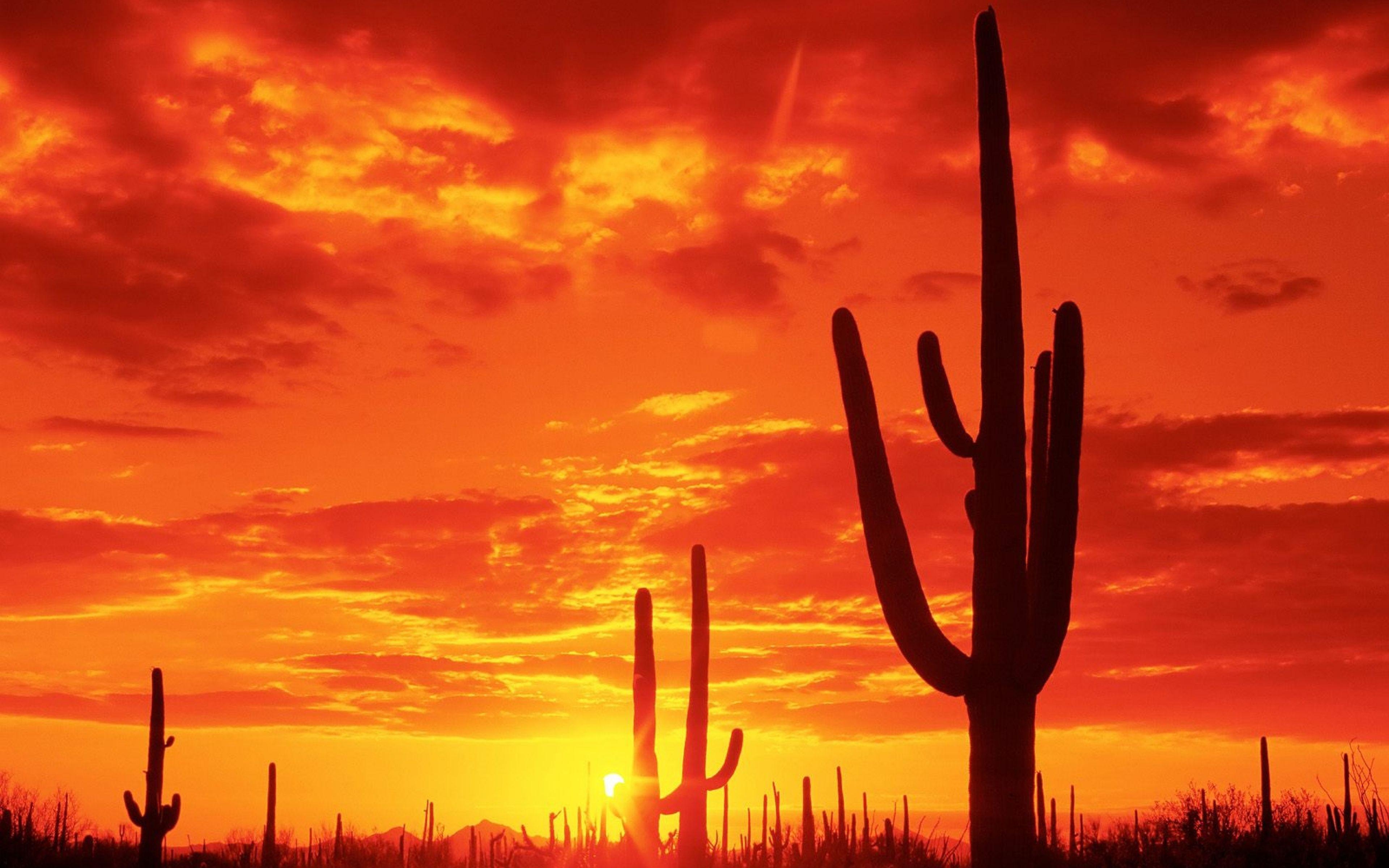 3840x2400 Arizona Wallpaper For Desktop, PK715 100% Quality HD Arizona, Desktop