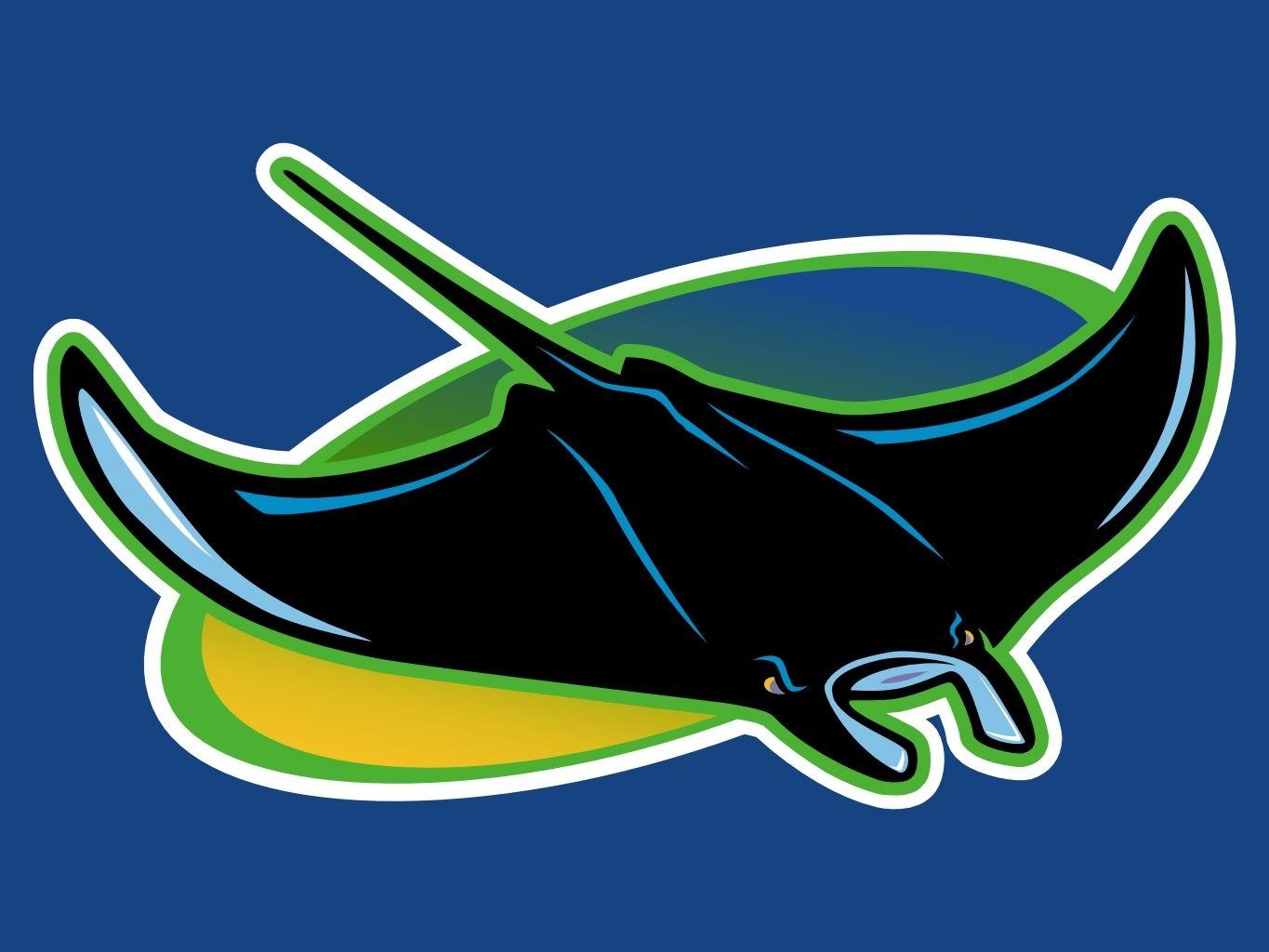 1370x1030 Tampa Bay Rays Clipart, Desktop