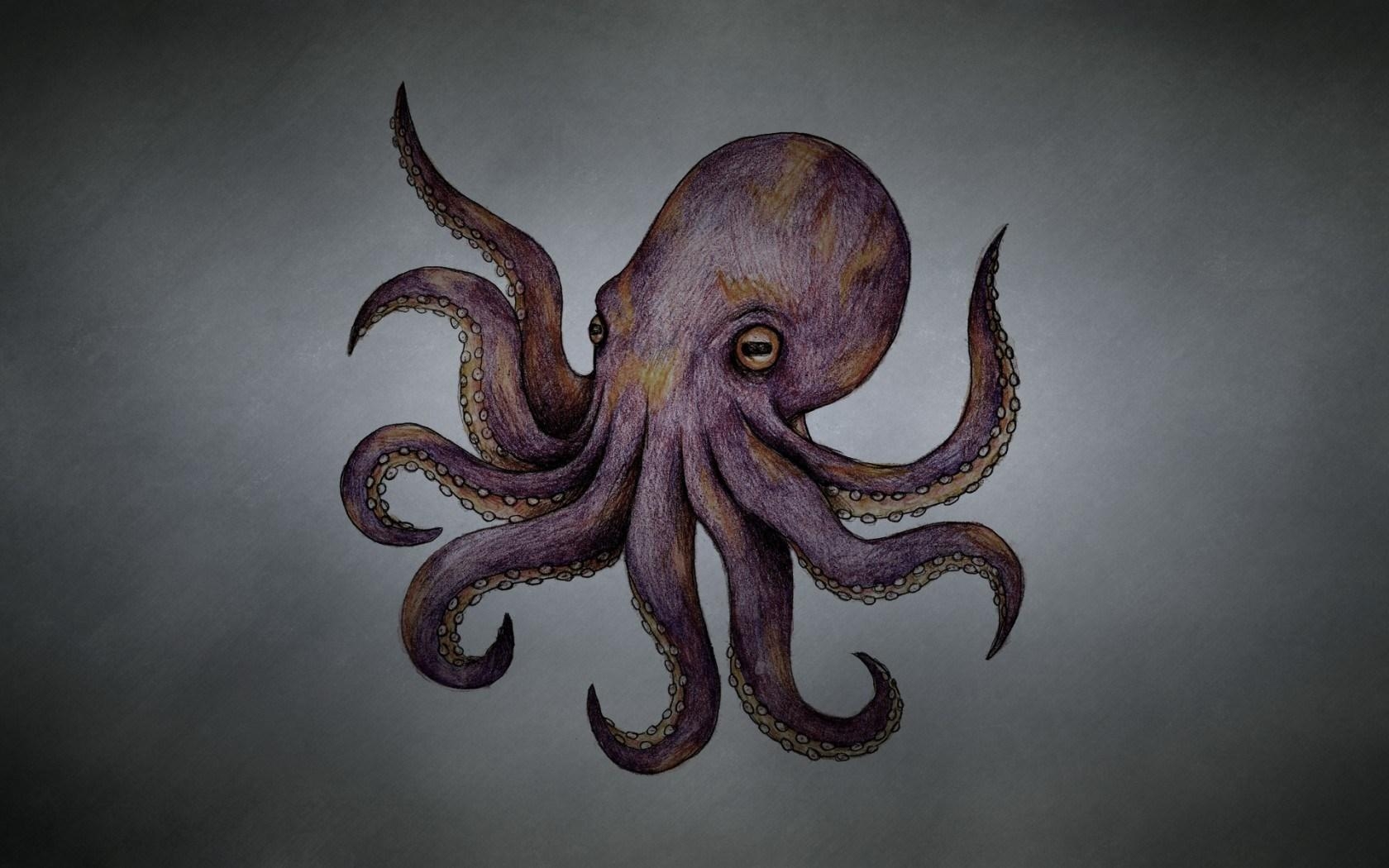 1680x1050 Octopus Wallpaper, Desktop