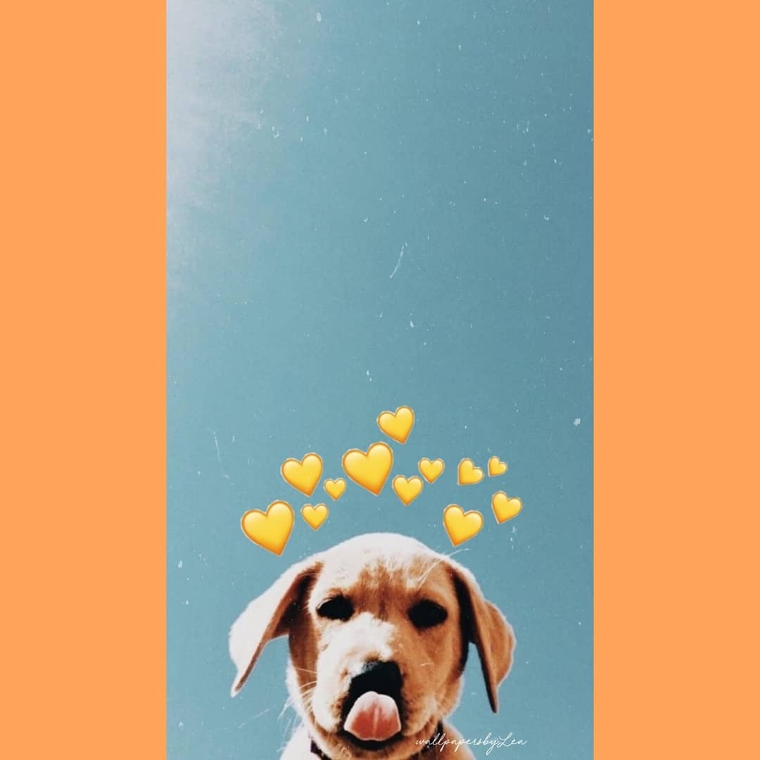 1080x1080 Dog Aesthetic Wallpaper Free Dog Aesthetic Background, Phone