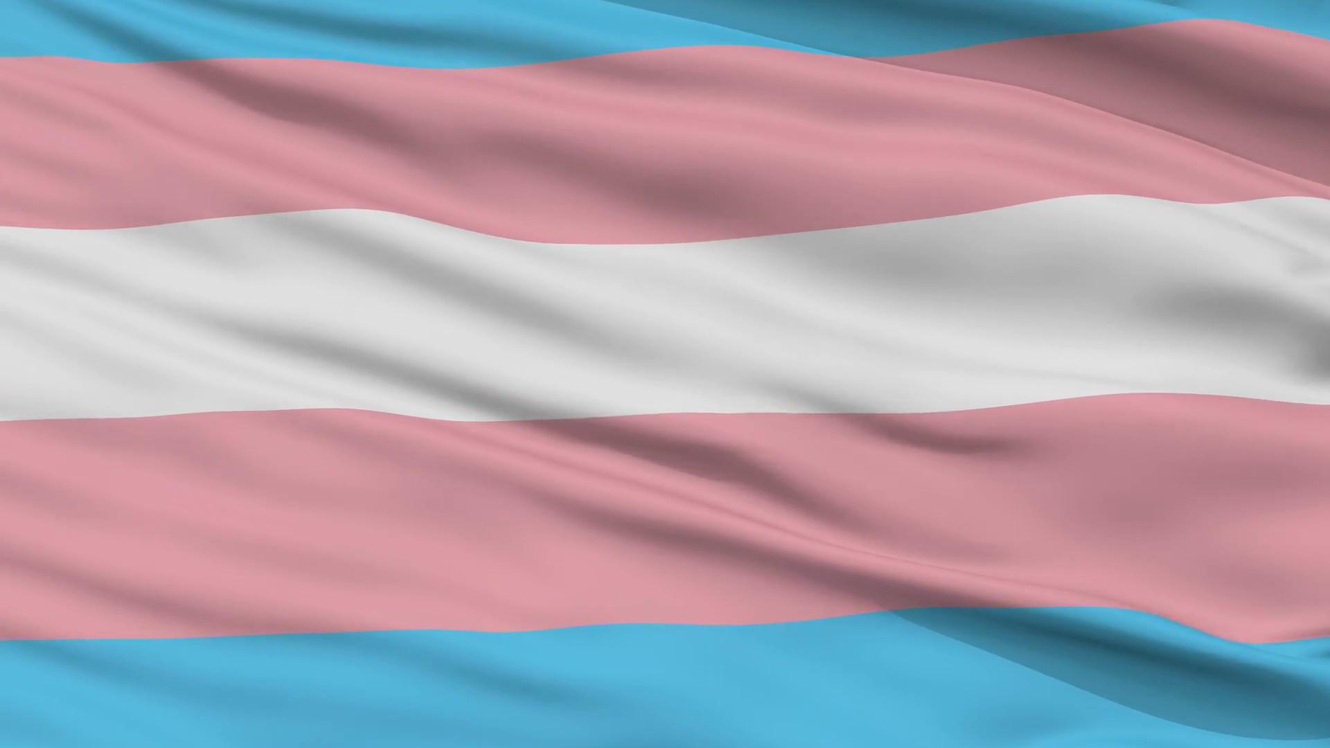 1920x1080 Transgender Pride Wallpaper, Desktop