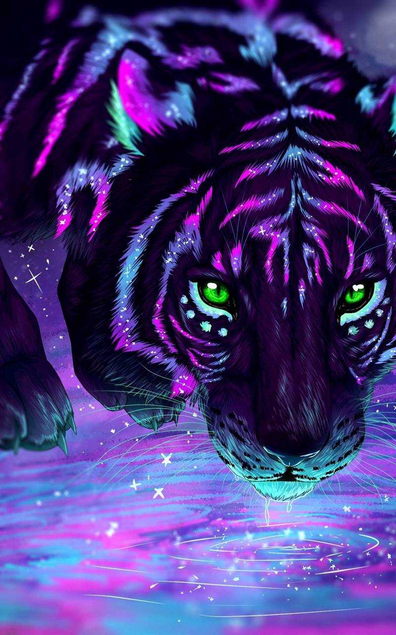 800x1280 Tiger Wallpaper Phone Free HD Wallpaper, Phone