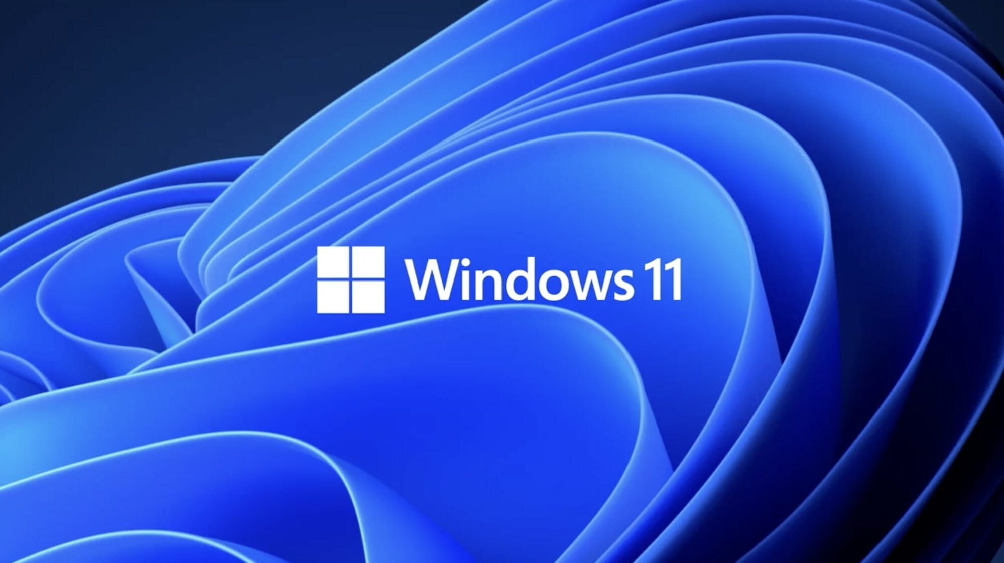 2000x1130 Windows 11 Wallpaper 4K 11 wallpaper download 2021. windows 11 official, Desktop