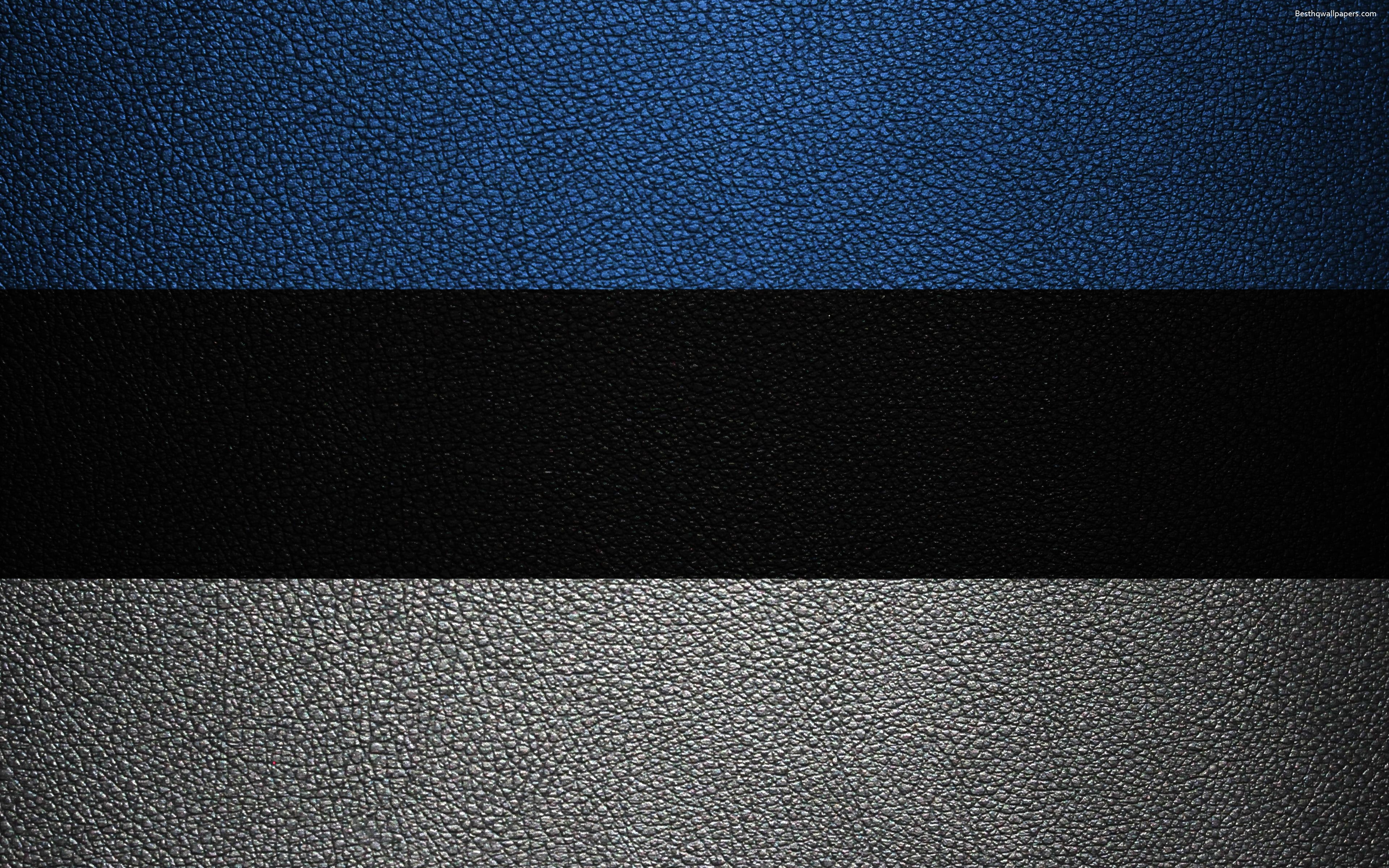 3840x2400 Download wallpaper Flag of Estonia, 4k, leather texture, Estonian, Desktop