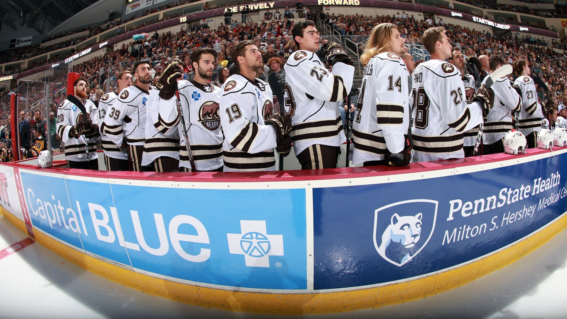 1920x1080 Get your Hershey Bears Teleconference Background Here!. NEWS. Hershey Bears Hockey, Desktop