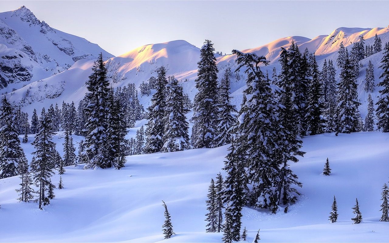 1280x800 Snowy Landscape Wallpaper HD. Winter scenery, North cascades national park, National parks, Desktop