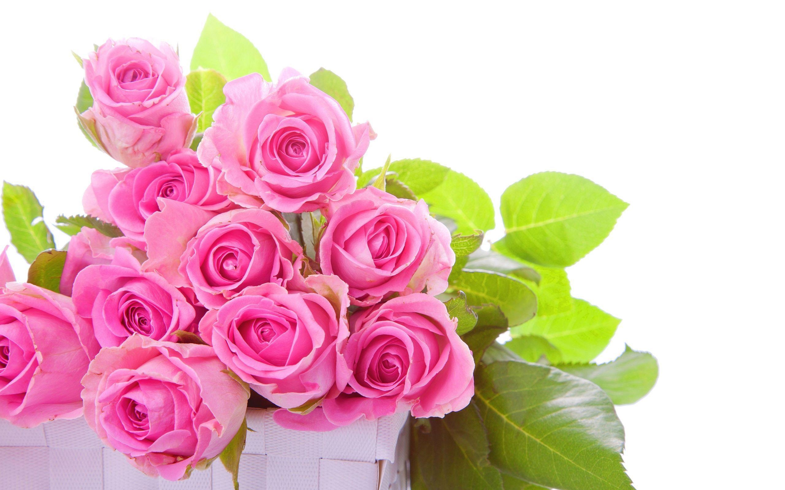 2560x1600 Pink roses bouquet Wallpaper #, Desktop