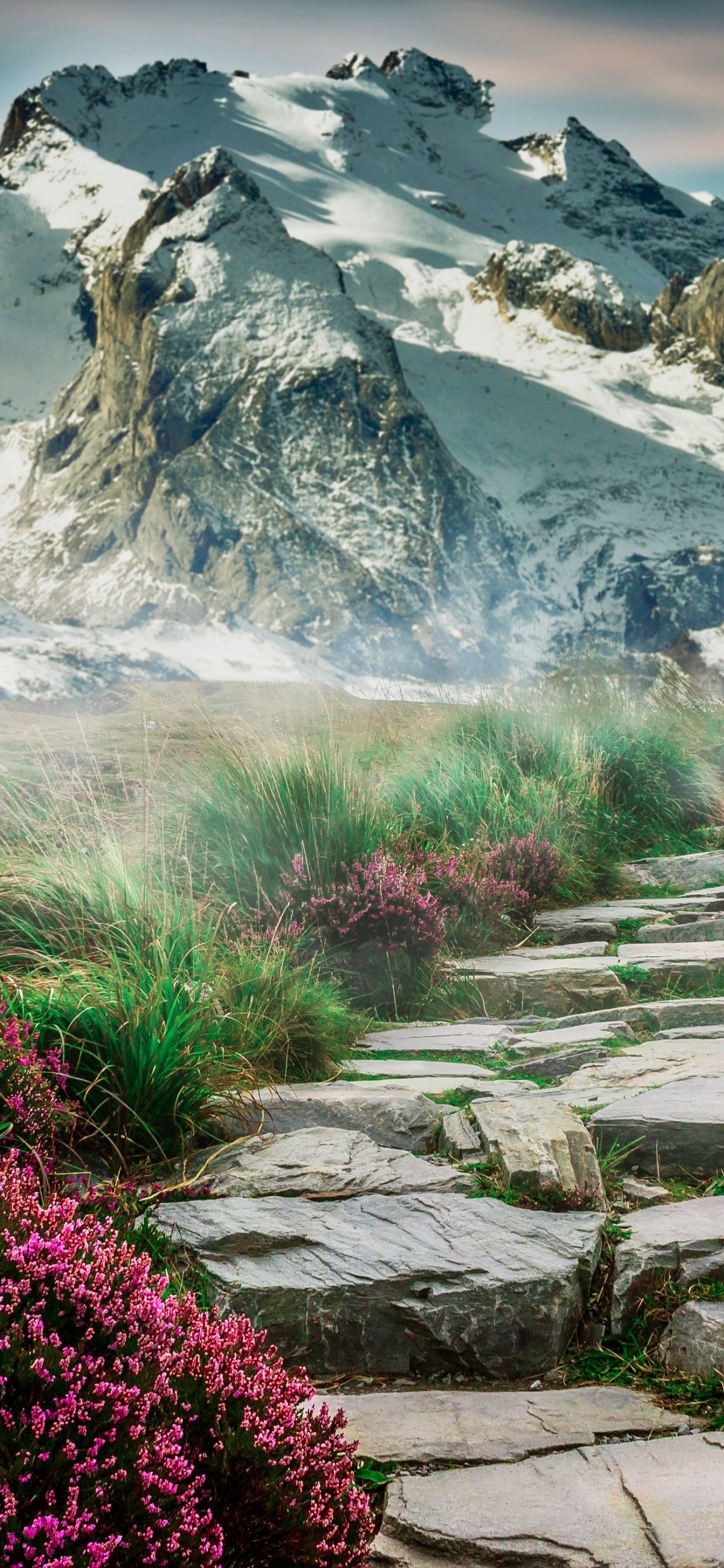 1250x2690 Mountains Wallpaper 4K, Path, Hill, Spring, Nature, Phone