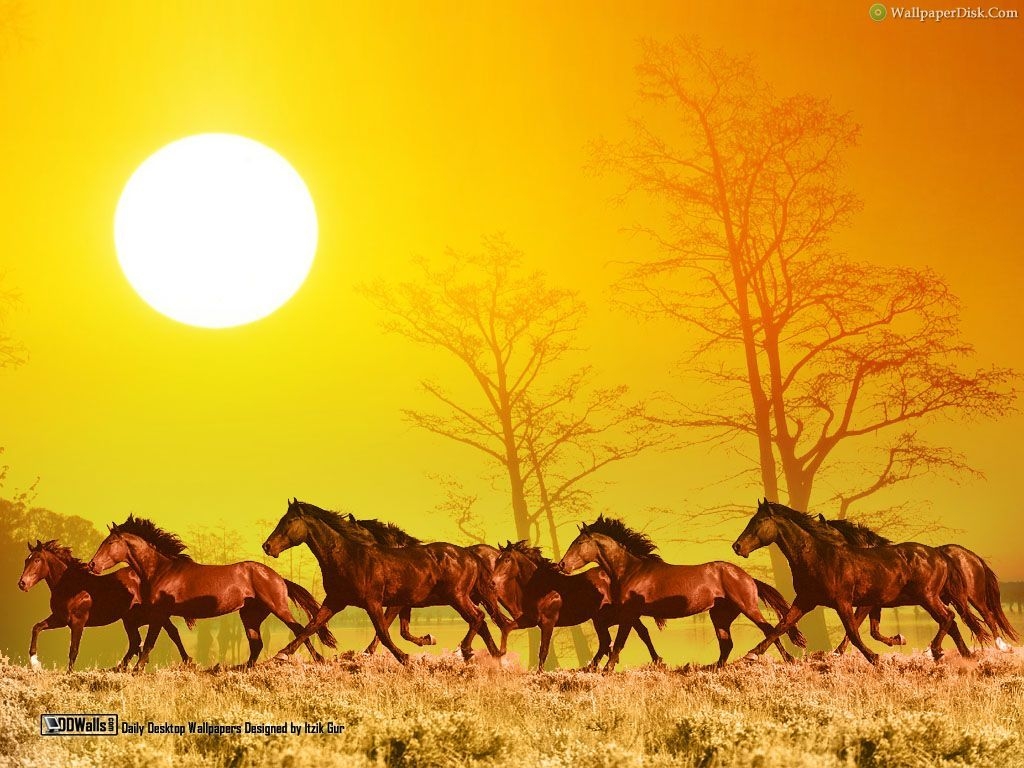 1030x770 Free Cute 7 Running Horses Image On Your Tablet Pc Horse Running Photo HD, Desktop