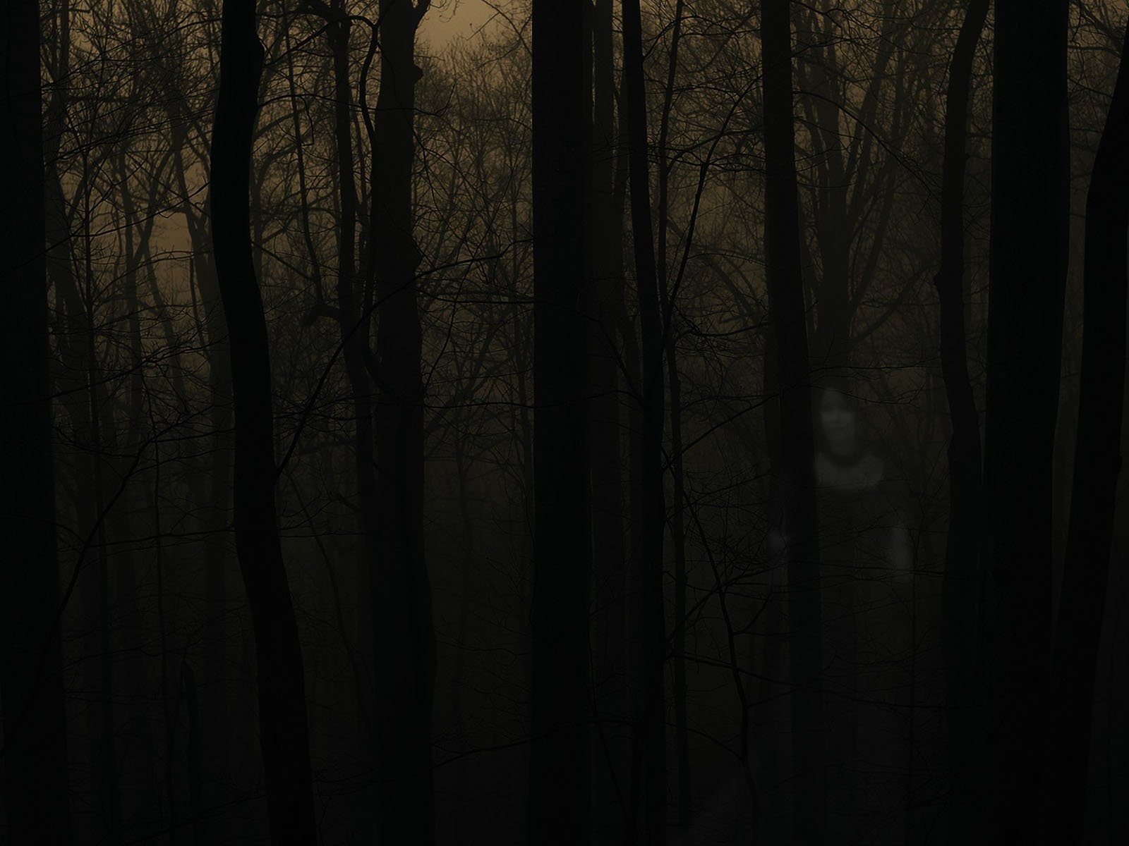 1600x1200 Haunted Forest wallpaper. Haunted Forest, Desktop