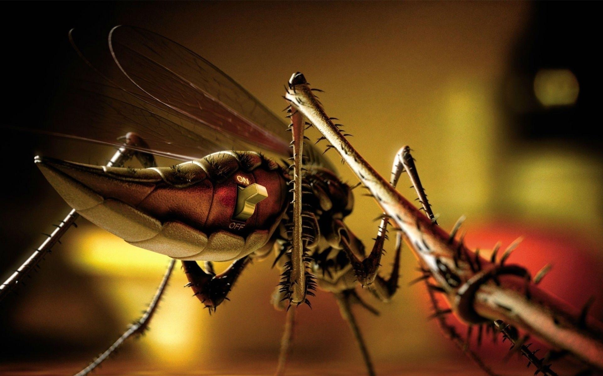 1920x1200 Artwork mosquito wallpaper. PC, Desktop