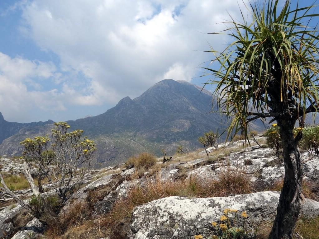 1030x770 Climbing Sapitwa Peak, Mulanje, the highest peak in Malawi, Desktop