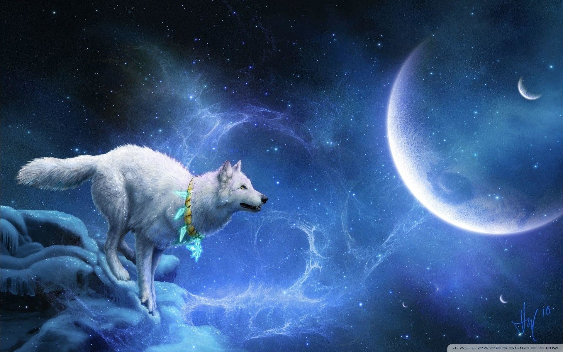 1920x1200 Cool Picture of Wolves, Desktop