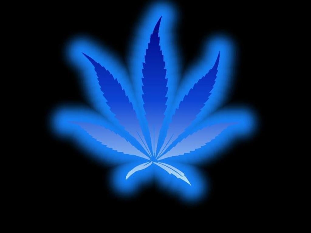 1030x770 Neon Blue Weed Leaf Wallpaper. A Neon Blue Weed Leaf Wallpa, Desktop