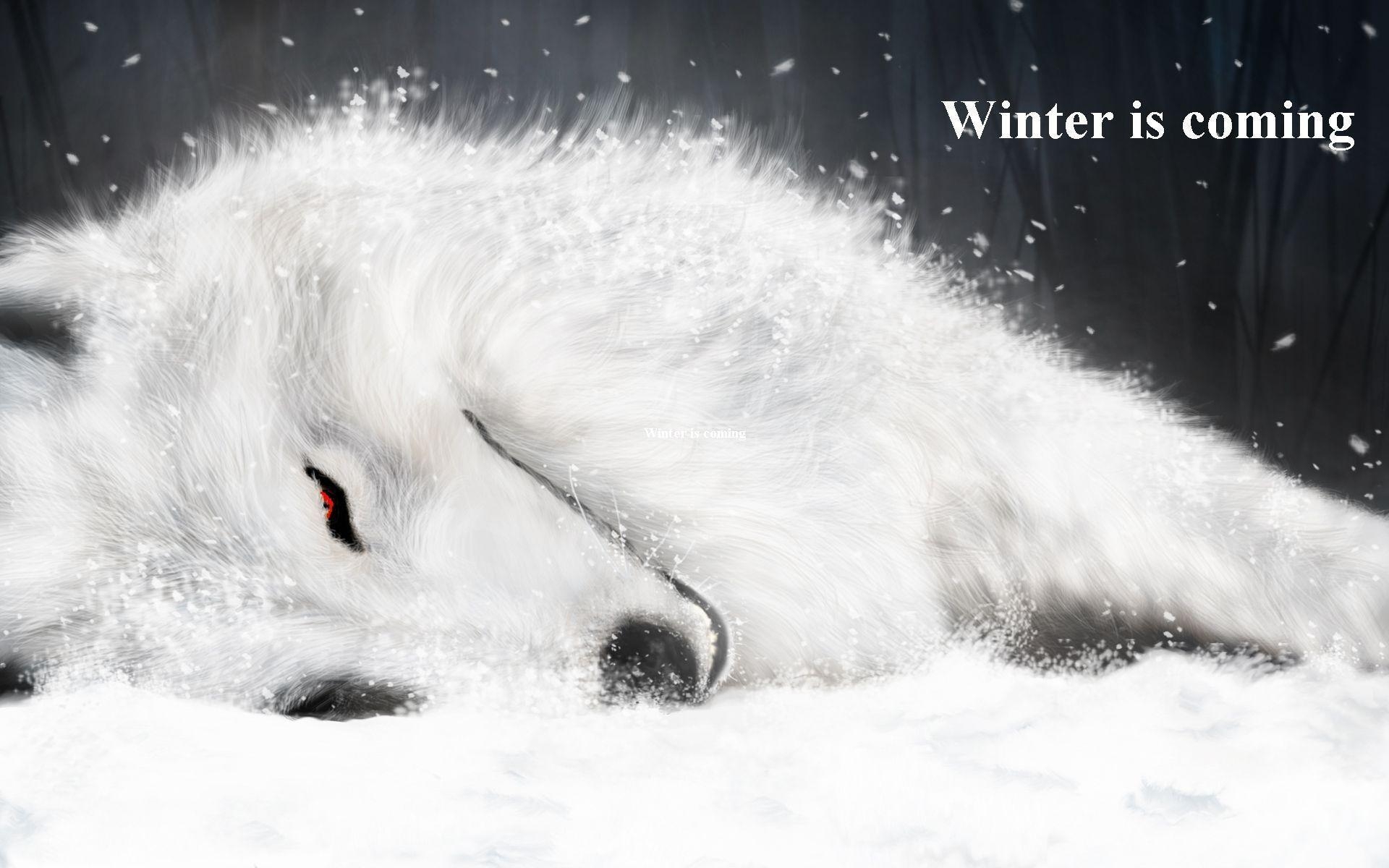 1920x1200 Winter Is Coming wallpaper, Desktop