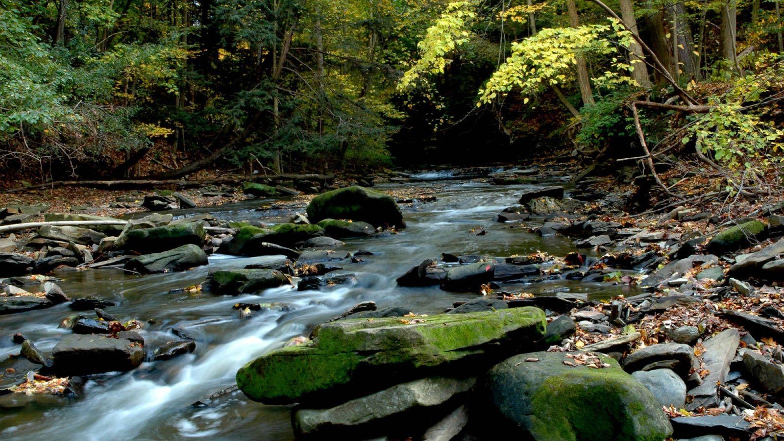 1600x900 Cuyahoga Valley · National Parks Conservation Association, Desktop