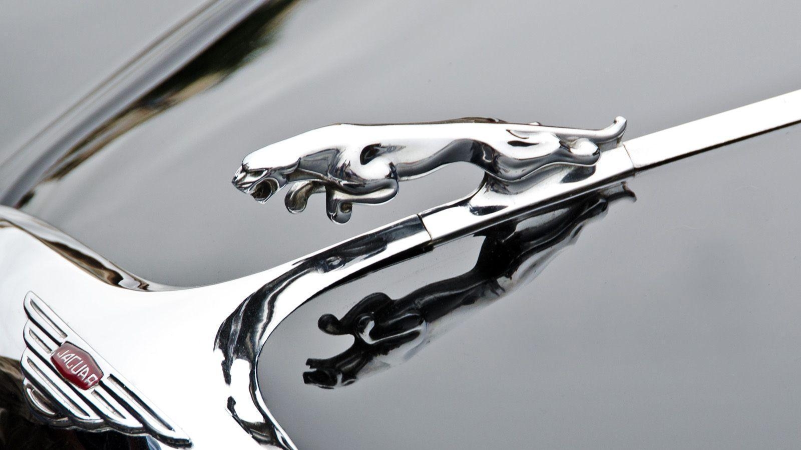 1600x900 Jaguar Logo HD Wallpaper 1080p, Desktop