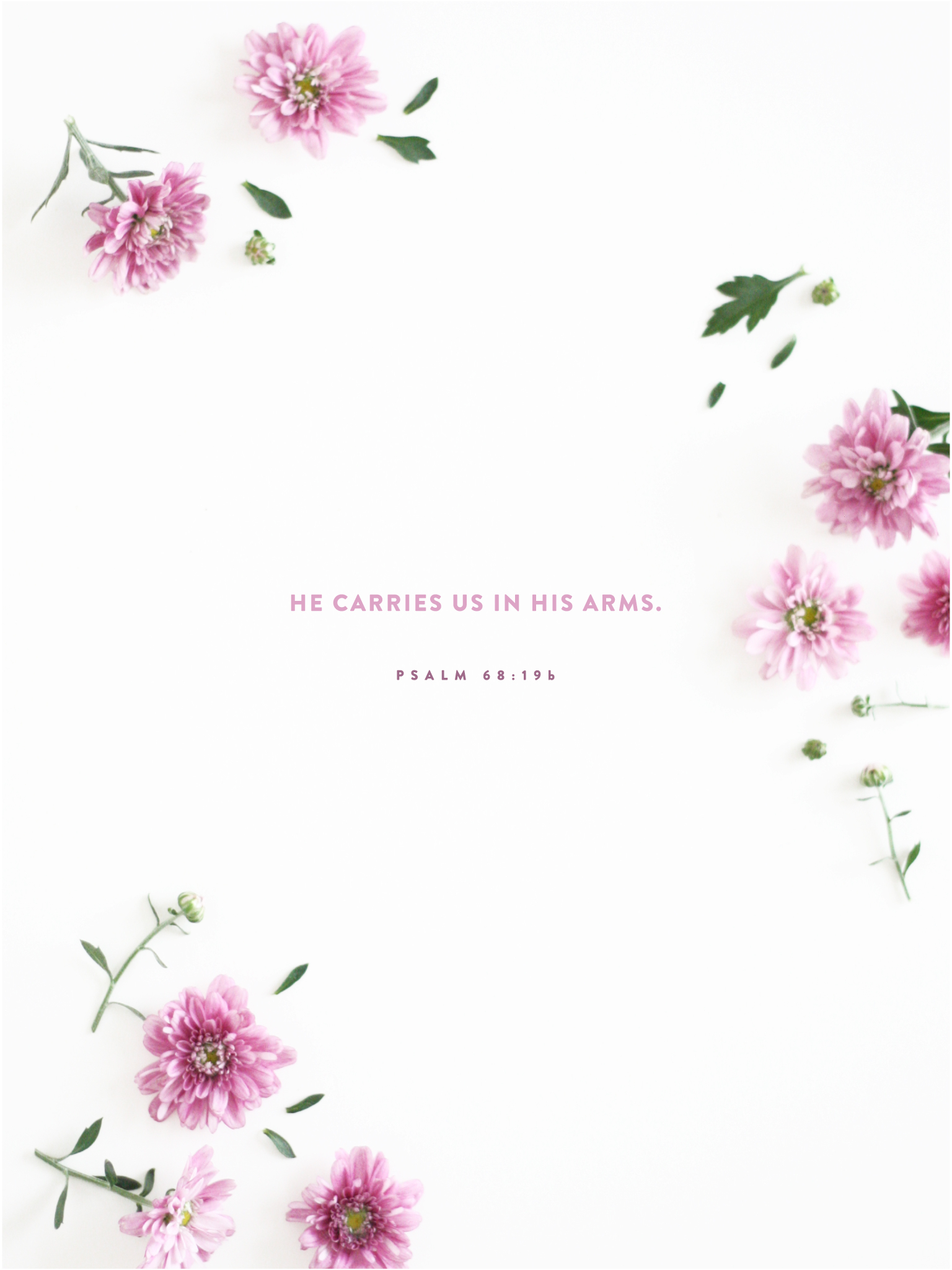 1540x2050 iPhone Floral Bible Verse, Phone