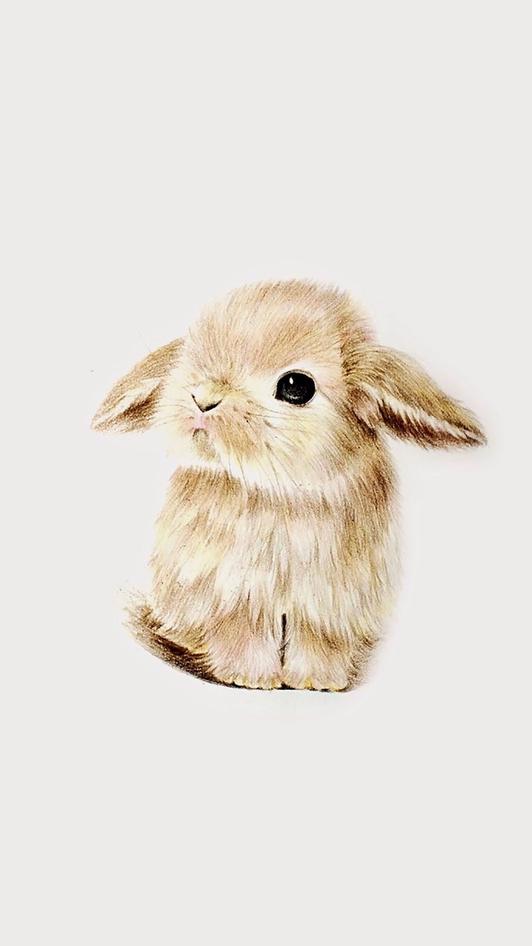 1080x1920 Godt tegnet. Cute drawings, Animal drawings, Cute animal drawings, Phone