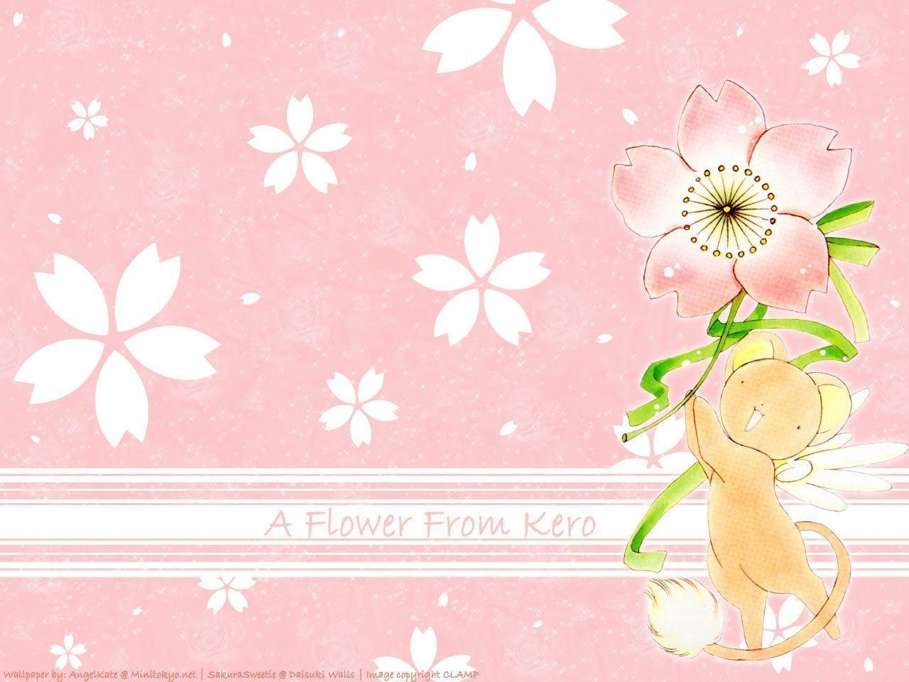 1280x960 A flower from Kero Sakura Wallpaper, Desktop