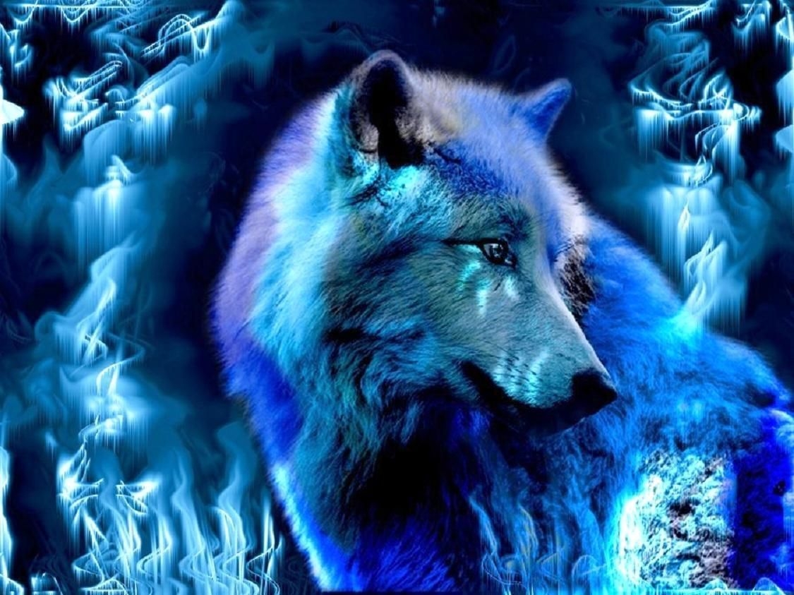 1130x850 Cool Blue Wolf Wallpaper, Desktop