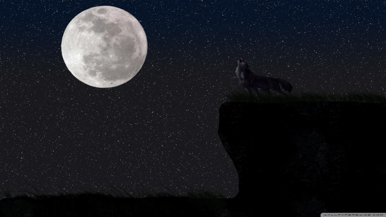 1280x720 Wolf and Moon ❤ 4K HD Desktop Wallpaper for 4K Ultra HD TV • Wide, Desktop