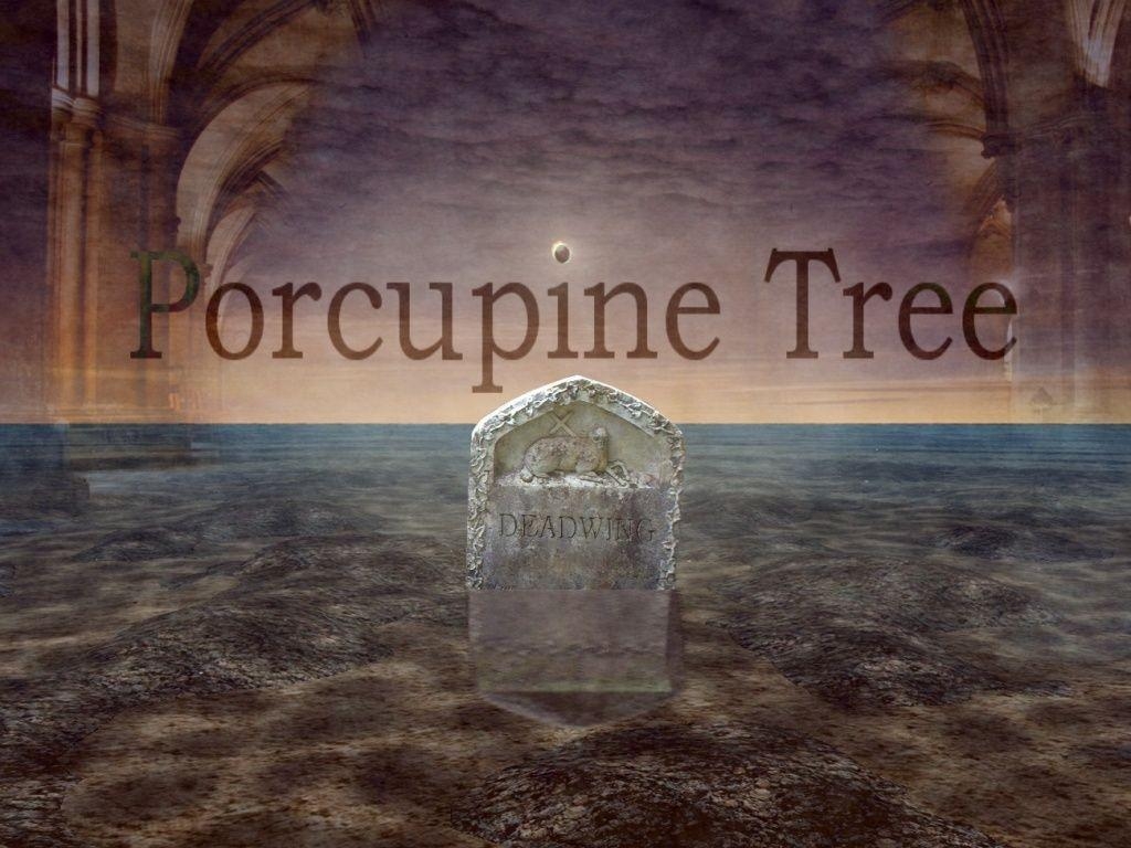 1030x770 Pin Porcupine Tree Wallpaper With 1280x800 Resolution, Desktop