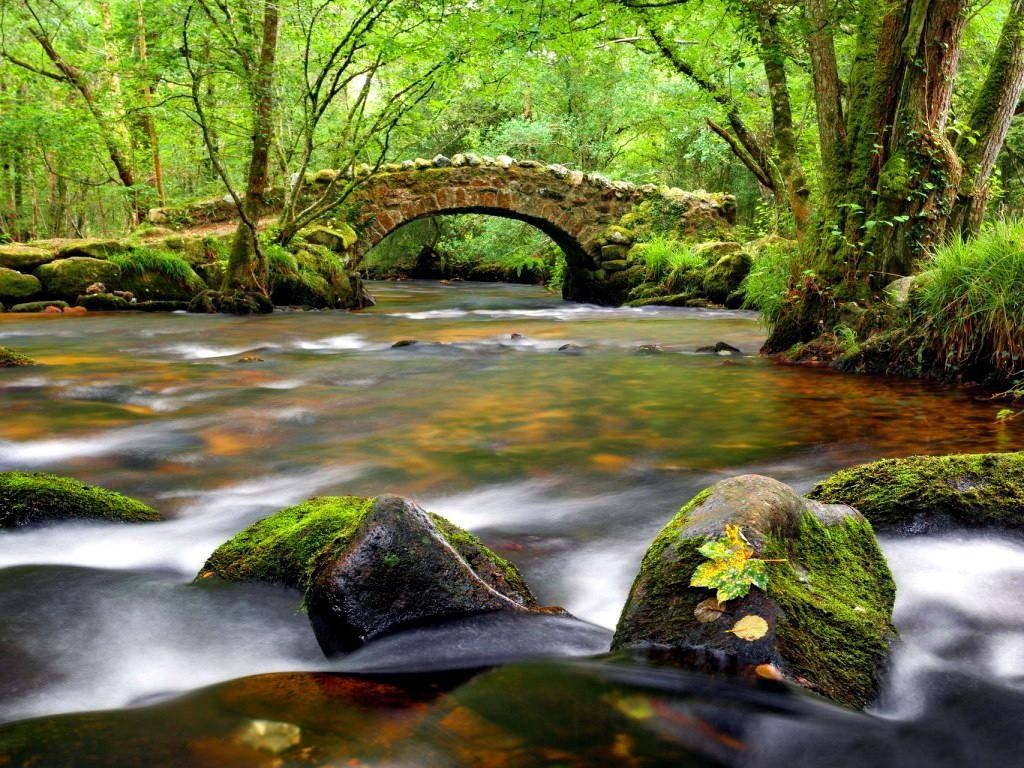 1030x770 Forests: Nature Beautiful Nice Green Greenery River Riverbank Creek, Desktop