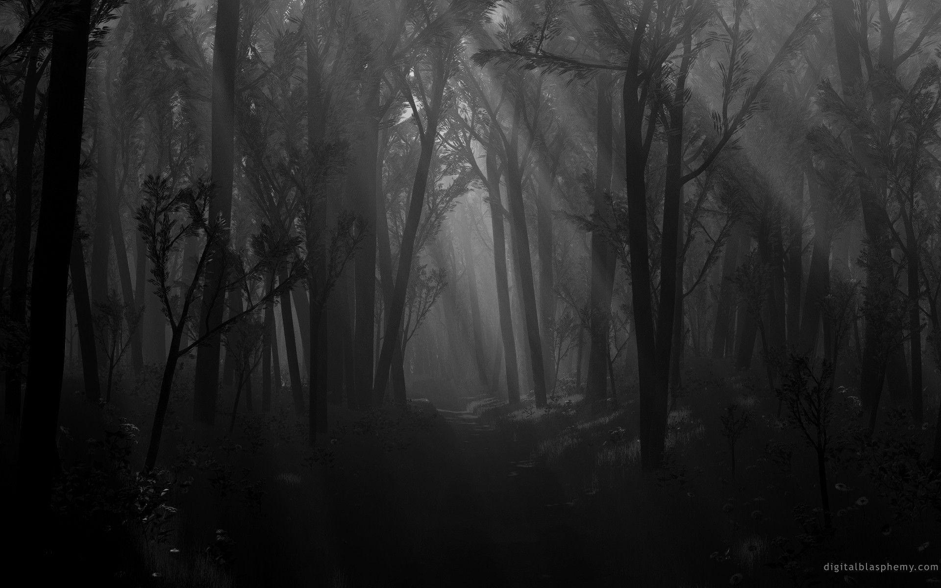 1920x1200 Dark Forest, Desktop