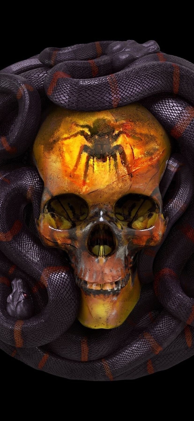 830x1800 Skull, Snake, Horror  IPhone 11 XR Wallpaper, Background, Phone