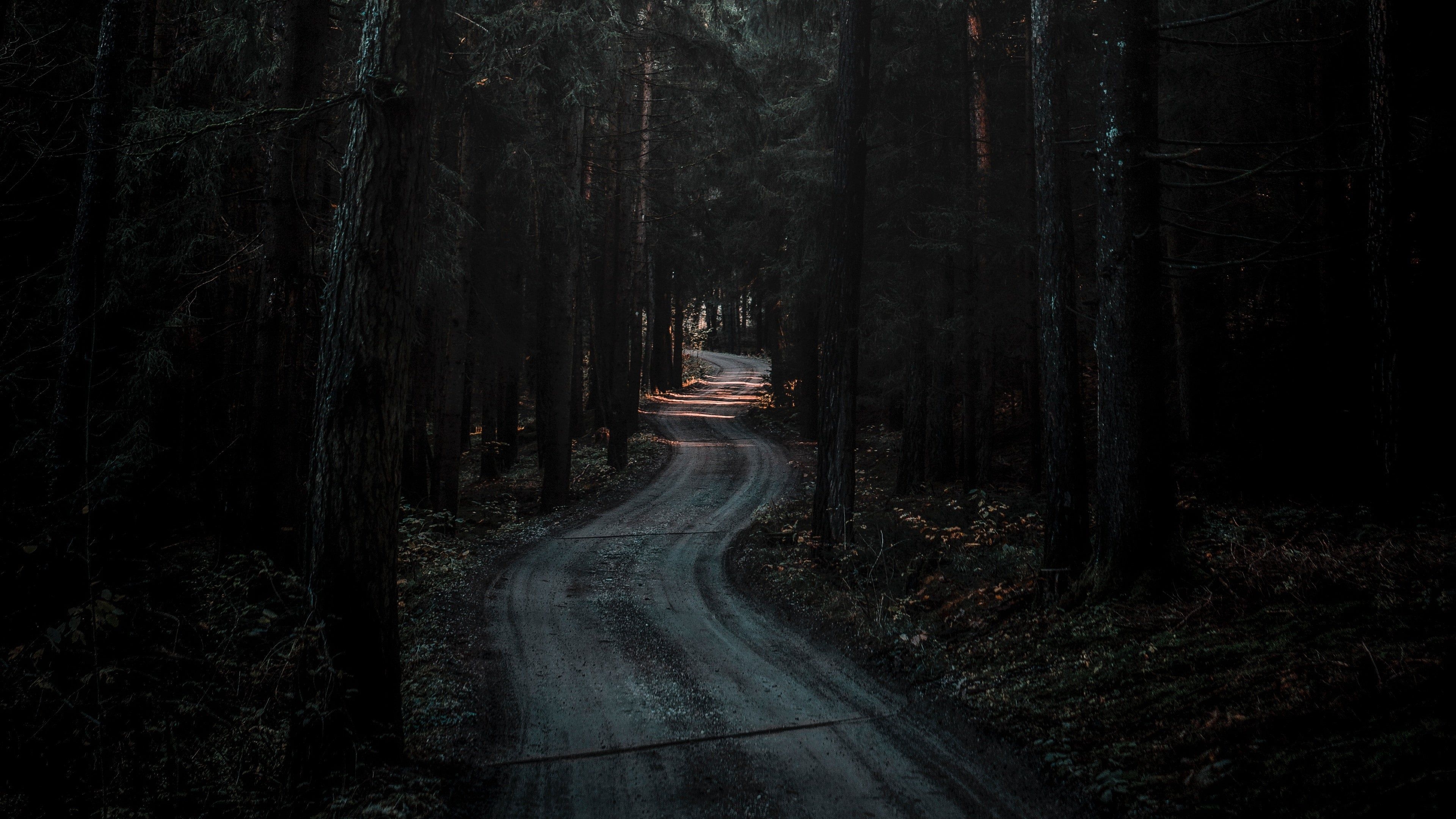 3840x2160 Forest Road Dark 4K wallpaper. Forest road, Dark wallpaper, Nature desktop, Desktop