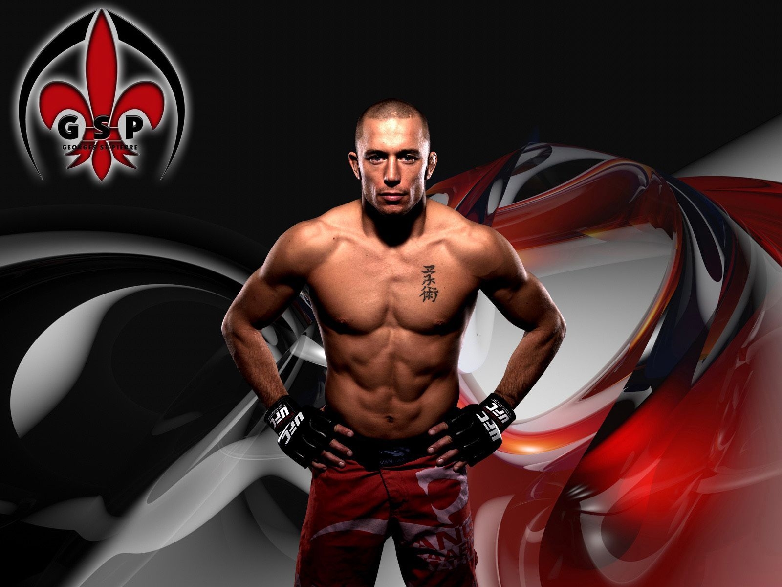 1600x1200 UFC Gallery. UFC MMA Wallpaper Desktop Background Image. George st pierre, George saint pierre, St pierre, Desktop